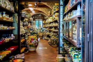 Firenzen YKSITYINEN/OSITTAIN YKSITYINEN kierros: Siena, San Gimignano ja Pisa