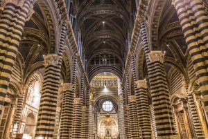 Firenze: tour privato di Siena, San Gimignano e Chianti