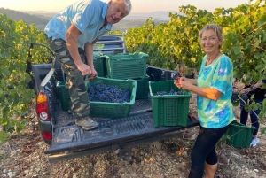 Firenze: tour privato di Siena, San Gimignano e Chianti