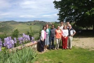 Florence: Private Siena, San Gimignano and Chianti Tour