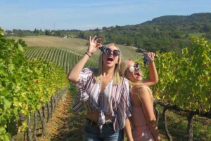Florence: Private Siena, San Gimignano and Chianti Tour