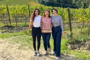 Florenz: Private Toskana Wein Tour mit San Gimignano