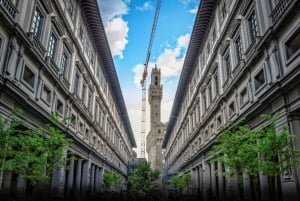 Firenze: Tour privato della Galleria degli Uffizi