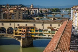 Firenze: Tour privato della Galleria degli Uffizi