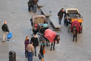 Firenze: Privat tur til fods med en lokal guide