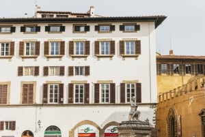 Firenze: Tour guidato a piedi del Rinascimento e dei Racconti Medicei