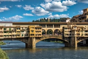 Florence: Renaissance Walking Tour of Florence