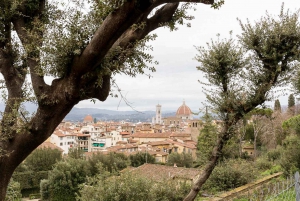 Firenze: Varattu pääsylippu Bobolin puutarhaan