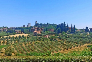 From Florence: 'Ramble through the hills of Chanti'