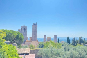 Florence: San Gimignano & Siena Tasting Experience