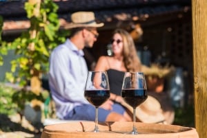 Florencia: Excursión de un día a San Gimignano y Volterra con comida y vino