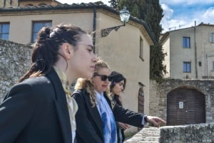 Florencia: Excursión de un día a San Gimignano y Volterra con comida y vino