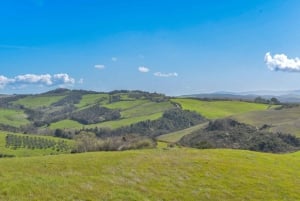Florencia: Excursión de un día a San Gimignano y Volterra con comida y vino