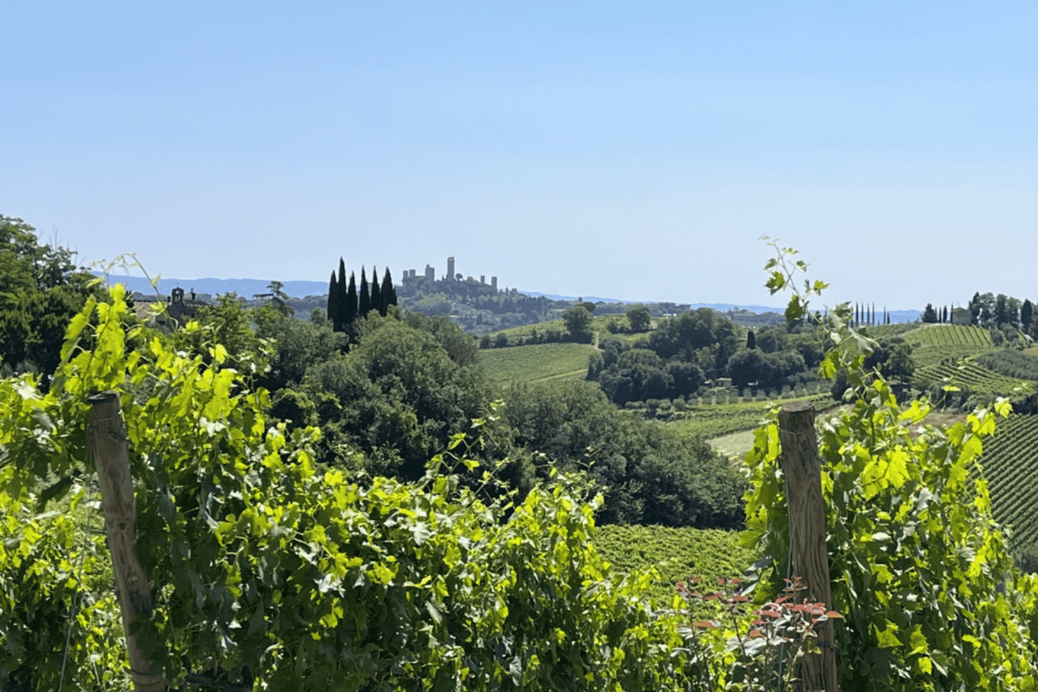 Florens: San Gimignano & vingårdstur med lunch