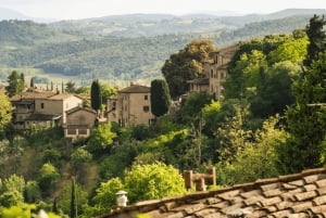 フィレンツェ発:サン・ジミニャーノ&ワイナリーツアー(昼食付き)