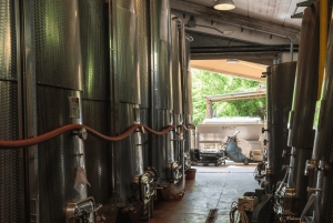 フィレンツェ発:サン・ジミニャーノ&ワイナリーツアー(昼食付き)