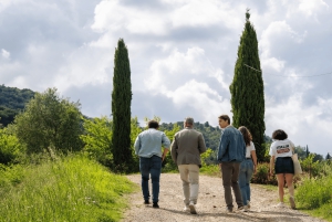 フィレンツェ発:サン・ジミニャーノ&ワイナリーツアー(昼食付き)
