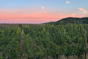 Florença: San Gimignano e tour pela adega com almoço