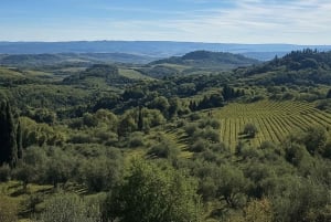 Florença: San Gimignano e tour pela adega com almoço