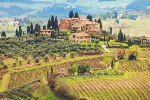 Florens: San Gimignano & vingårdstur med lunch