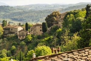 Florens: San Gimignano & vingårdstur med lunch