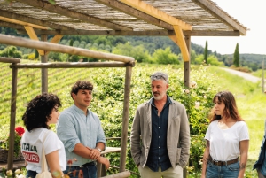 Florens: San Gimignano & vingårdstur med lunch