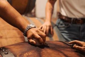 Florens: San Gimignano & vingårdstur med lunch