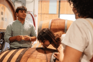 Florens: San Gimignano & vingårdstur med lunch