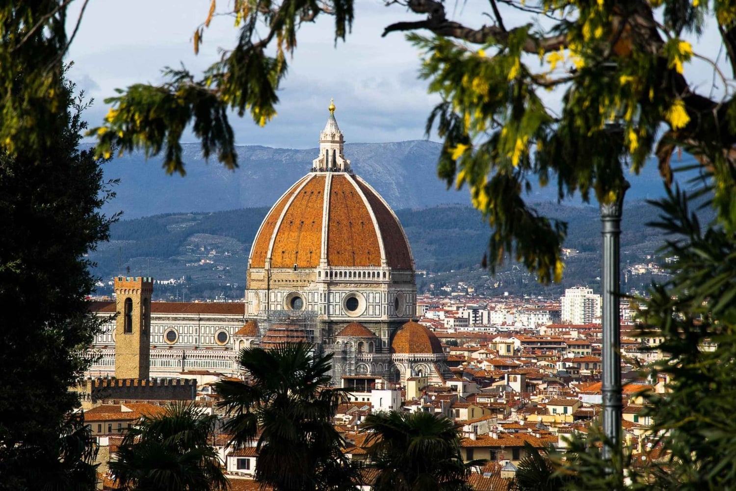 Florence: Santa Maria del Fiore Skip-the-line Duomo Tour