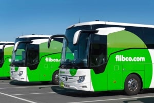 Florence: Shared Bus Transfer to/from Pisa Airport