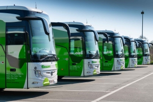 Florencja: Wspólny transfer autobusowy do/z lotniska w Pizie
