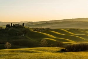 Florence: Siena - Chianti - San Gimignano Private Tour