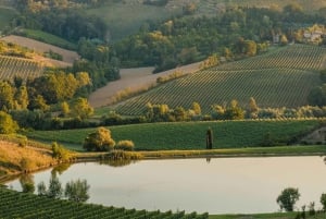 Florence: Siena - Chianti - San Gimignano Private Tour