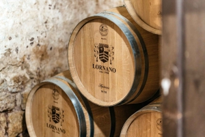 Firenze: Siena, San Gimignano ja Chianti Small Group Tour