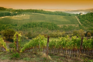 Florence: Siena, San Gimignano & Chianti Day Trip with Lunch