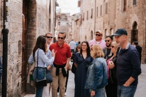 Firenze: Siena, San Gimignano og Chianti-vinsmagning