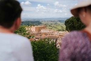 Firenze: Siena, San Gimignano og Chianti-vinsmagning