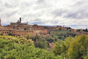 Florença: Viagem de 1 dia a Siena e San Gimignano com almoço e vinho