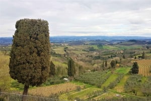 From Florence: Siena & San Gimignano Tour with Wine & Lunch