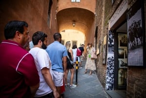 Z Florencji: wycieczka 1-dniowa do Sieny, San Gimignano i Pizy