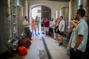 Z Florencji: wycieczka 1-dniowa do Sieny, San Gimignano i Pizy