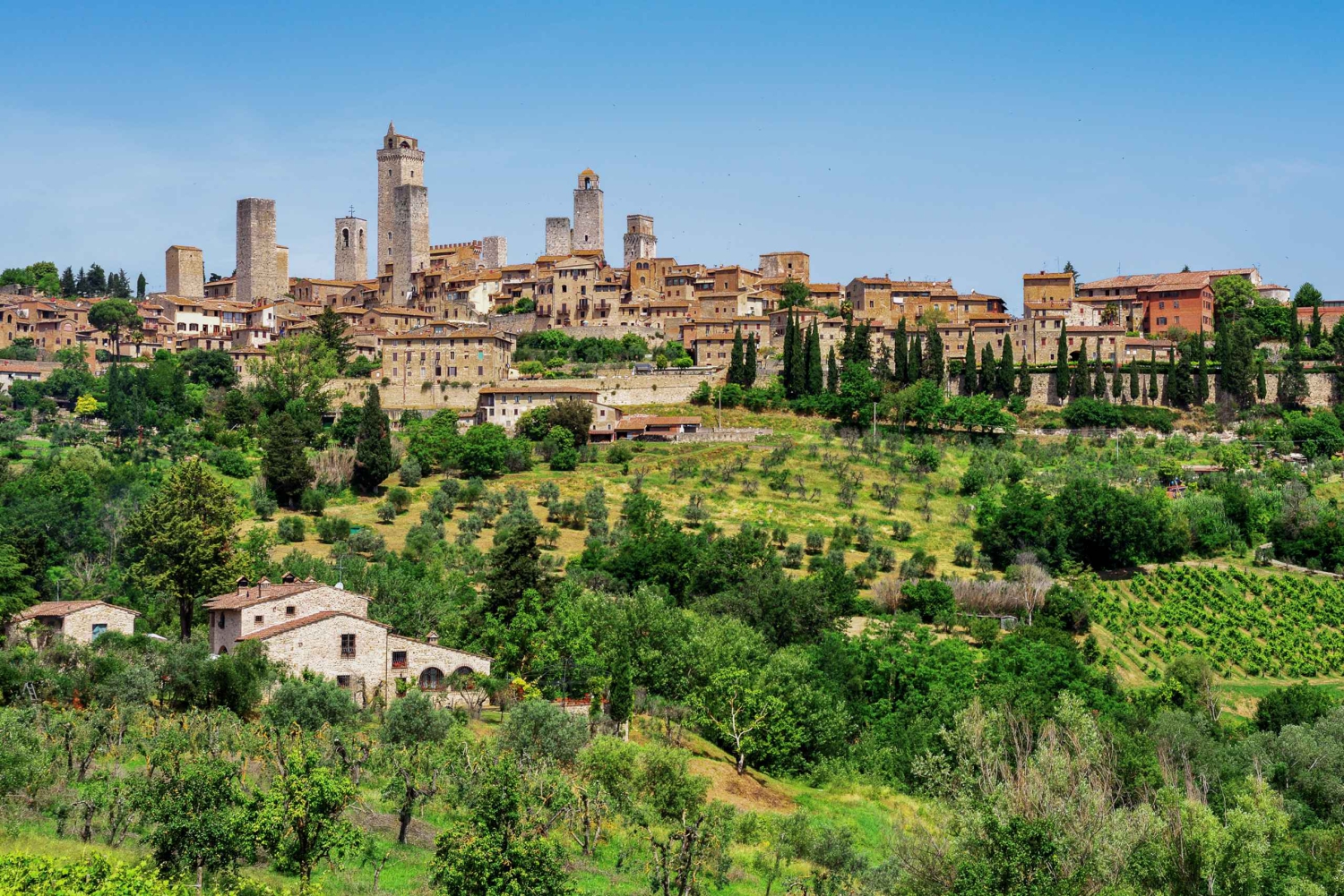 Firenze: tour privato di un giorno a Siena e San Gimignano in auto di lusso