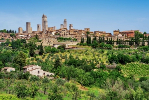 Firenze: tour privato di un giorno a Siena e San Gimignano in auto di lusso