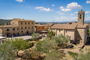 Firenze: tour privato di un giorno a Siena e San Gimignano in auto di lusso