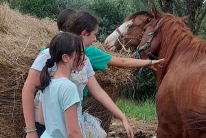 Florence - Sightseeing tour on horseback