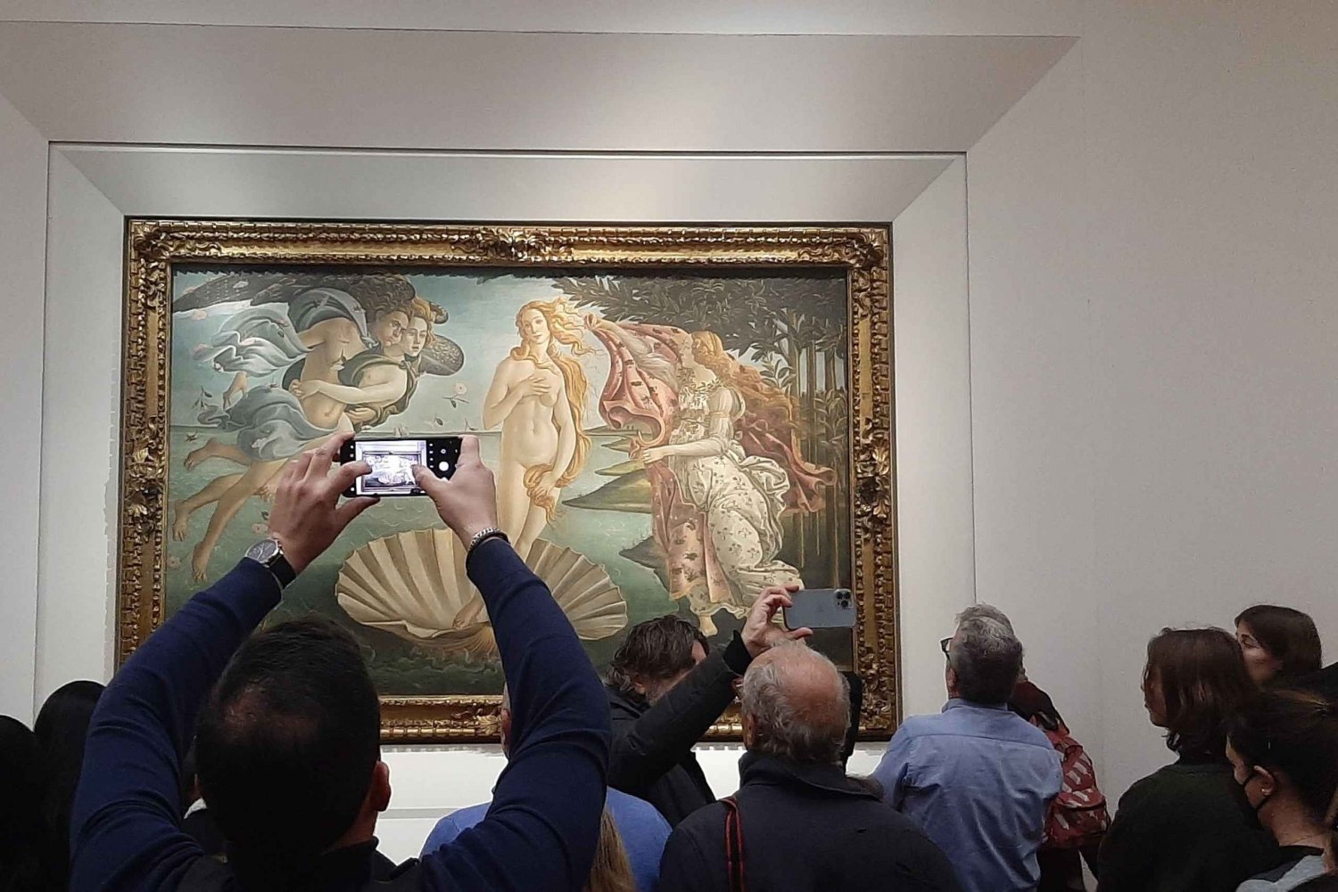 Florencia: Visita en grupo reducido a la Galería de los Uffizi sin hacer cola