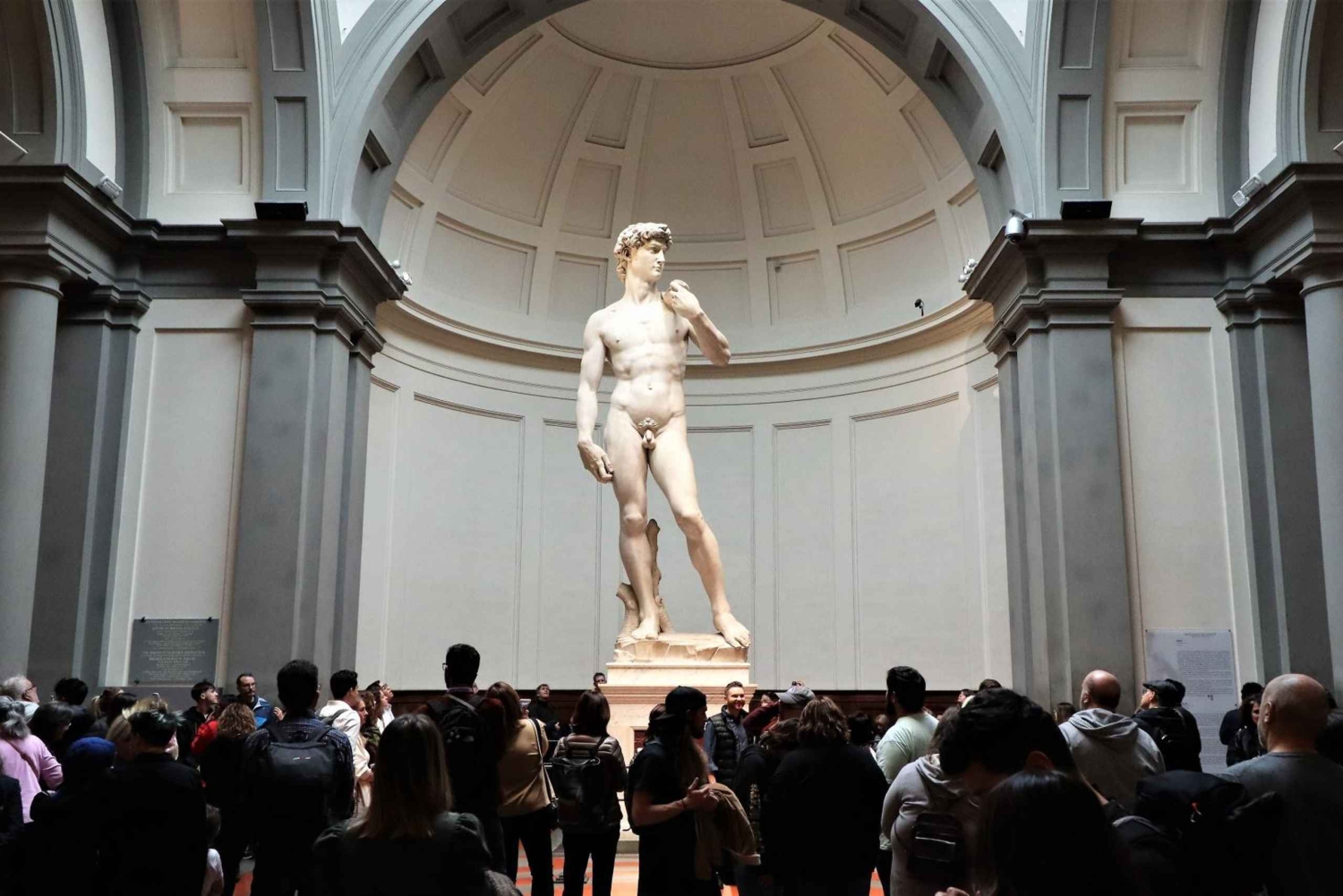 Florence: Wandeltour in kleine groep met David en Duomo