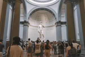 Firenze: tour serale della statua del David