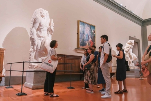 Florence: standbeeld van David & Galleria degli Uffizi - halfdaagse tour