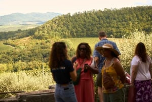 Florence: Great Chianti Wine and Olive Oil Trail with Lunch